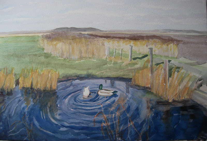 val's ducks on crick