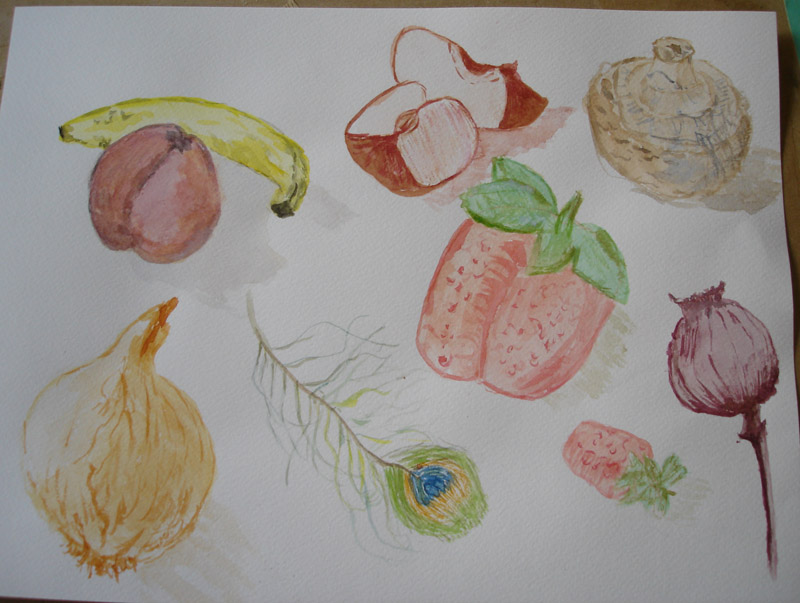 Sally's studies