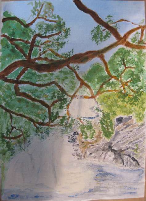 Virginia's tree branches