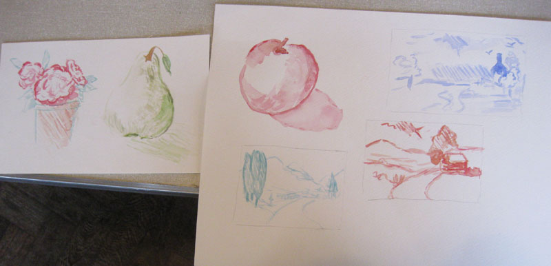 Sally's studies