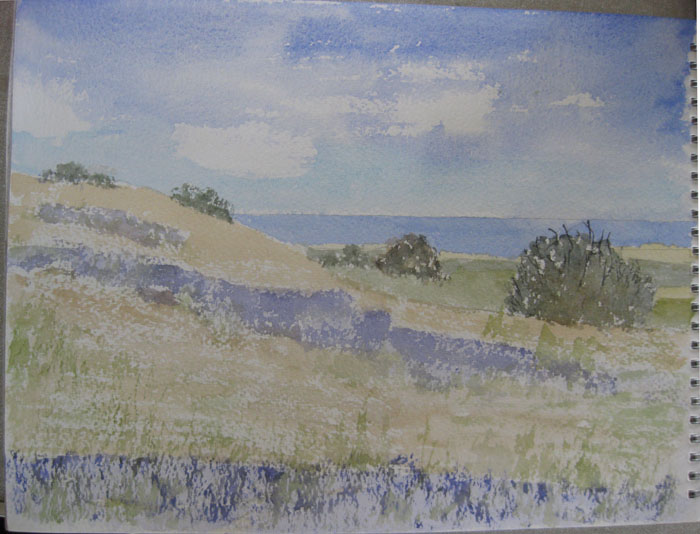 Edna's bluebells by the sea