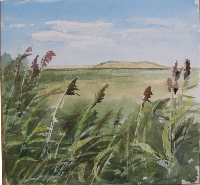 val's watercolour with masking fluid 